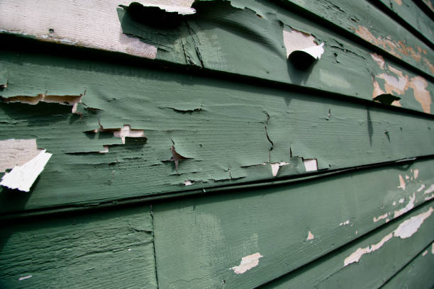 Best Residential Junk Removal  in Bennington, NE